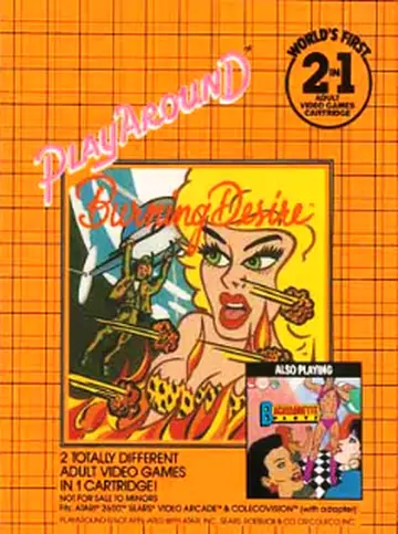Burning Desire 2600 box art