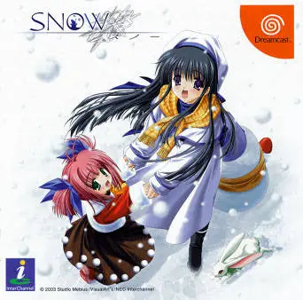 Snow box art
