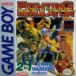 Fighting Simulator 2 in 1: Flying Warriors Game Boy box art