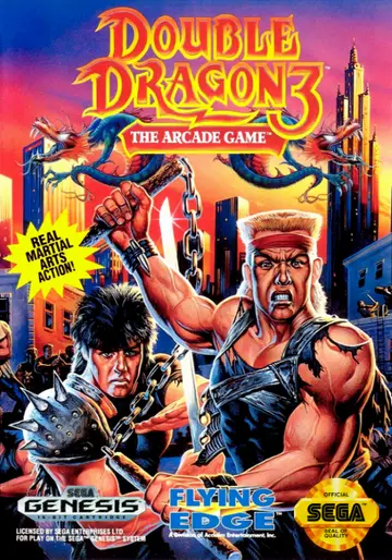 Double Dragon 3: The Rosetta Stone box art