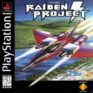The Raiden Project PS1 box art