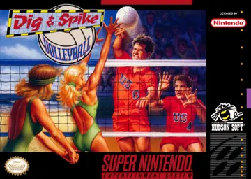 Dig & Spike Volleyball box art