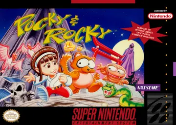 Pocky & Rocky box art