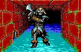 Eye of the Beholder gameplay screenshot on Lynx