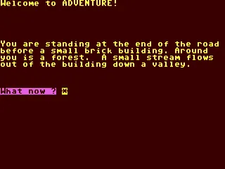 Colossal Cave Adventure gameplay screenshot on C64
