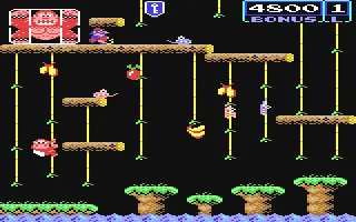 Donkey Kong Jr. gameplay screenshot on C64