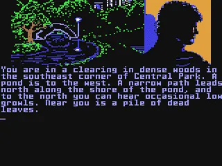 Fahrenheit 451 gameplay screenshot on C64