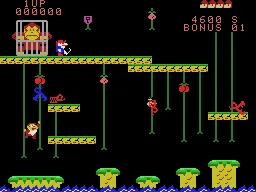 Donkey Kong Jr. gameplay screenshot on ColecoVision