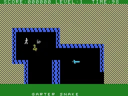 Gateway to Apshai gameplay screenshot on ColecoVision