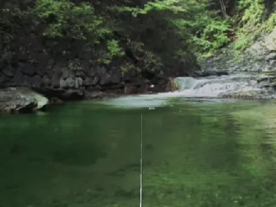 Reel Fishing: Wild gameplay screenshot on Dreamcast