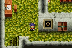 Bouken Yuuki Pluster World: Densetsu no Plust Gate gameplay screenshot on GBA