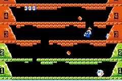 Classic NES Series: Ice Climber gameplay screenshot on GBA