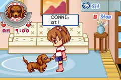 Dogz: Fashion gameplay screenshot on GBA