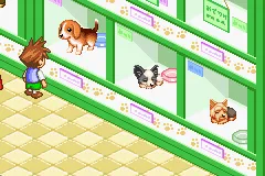 Dogz gameplay screenshot on GBA