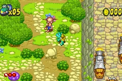 Frogger's Adventures: Temple of the Frog gameplay screenshot on GBA
