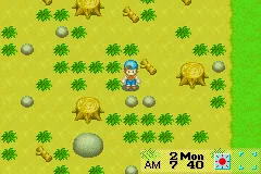 Harvest Moon: Friends of Mineral Town gameplay screenshot on GBA