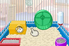 Petz: Hamsterz Life 2 gameplay screenshot on GBA