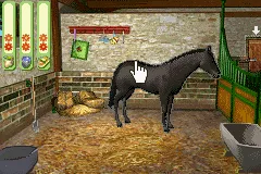 Pippa Funnell 2 gameplay screenshot on GBA