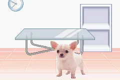 Pocket Dogs gameplay screenshot on GBA