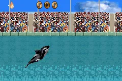 Shamu's Deep Sea Adventures gameplay screenshot on GBA