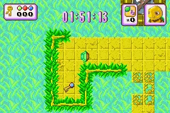 Turbo Turtle Adventure gameplay screenshot on GBA