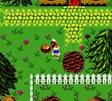 Conker's Pocket Tales gameplay screenshot on GBC
