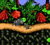 Donkey Kong Country gameplay screenshot on GBC