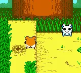 Hamtaro: Ham-Hams Unite! gameplay screenshot on GBC