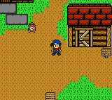 Harvest Moon 3 GBC gameplay screenshot on GBC
