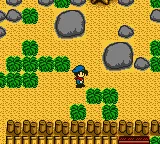 Harvest Moon GB gameplay screenshot on GBC