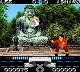 International Karate 2000 gameplay screenshot on GBC
