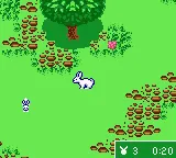 Kelly Club: Clubhouse Fun gameplay screenshot on GBC