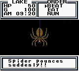 Legend of the River King 2 gameplay screenshot on GBC