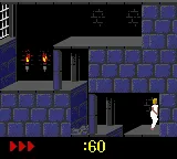 Prince of Persia gameplay screenshot on GBC