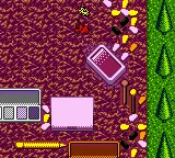 Racin' Ratz gameplay screenshot on GBC