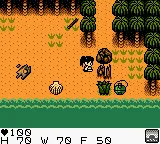 Survival Kids gameplay screenshot on GBC