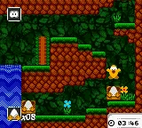 Toki Tori gameplay screenshot on GBC
