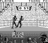 Best of the Best: Championship Karate gameplay screenshot on Game Boy