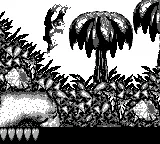 Donkey Kong Land gameplay screenshot on Game Boy