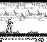 Fighting Simulator 2 in 1: Flying Warriors gameplay screenshot on Game Boy