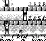 Rodland gameplay screenshot on Game Boy