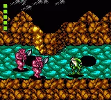Battletoads gameplay screenshot on Game Gear