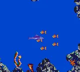 Ecco: The Tides of Time gameplay screenshot on Game Gear
