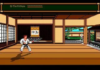 Budokan: The Martial Spirit gameplay screenshot on Genesis