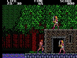 Danan: The Jungle Fighter gameplay screenshot on Master System