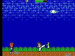 Kung Fu Kid gameplay screenshot on Master System