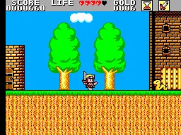 Super Wonder Boy: Monster World gameplay screenshot on Master System