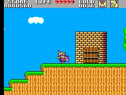 Wonder Boy in Monster Land gameplay screenshot on Master System
