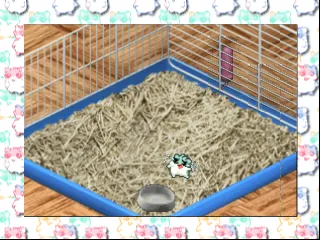 Hamster Monogatari 64 gameplay screenshot on N64