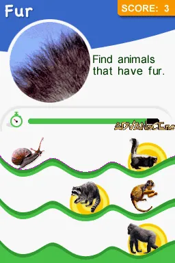 Animal Genius gameplay screenshot on DS
